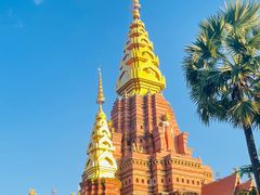 景点-告庄西双景