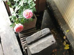 -花迹(富春江东街店)