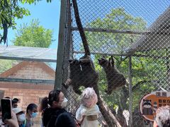 -西安秦岭野生动物园