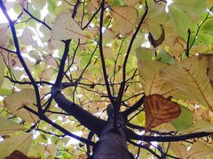 -苏州工学院(东湖校区)