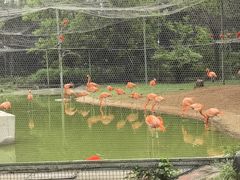 -石家庄极地海洋世界