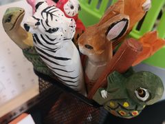 -雨林宠物医院 非犬猫异宠专科
