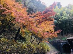 -岚山嵯峨野观光小火车