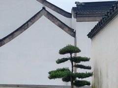 -青果巷历史文化街区