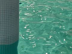 -小海豚国际游泳培训中心(浦东塘桥店)