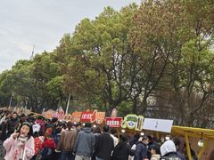 -高东镇樱花园