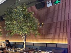 -同仁四季椰子鸡(海岸城天利店)