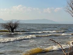 -捞渔河湿地公园