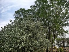 -石家庄市植物园