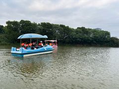 -光明小镇欢乐田园