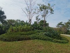 -聚龙山公园