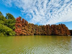 -上海海湾国家森林公园