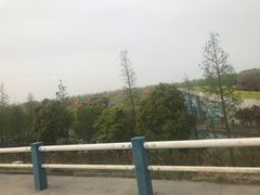 -合肥滨湖国家森林公园