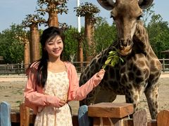 -泉城欧乐堡梦幻世界