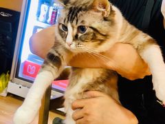 -白兔子密室(长寿路店)