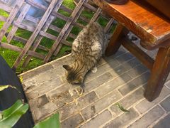 -云隐小厨·传统大理美食(复兴路店)