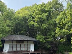 -新洲生态园
