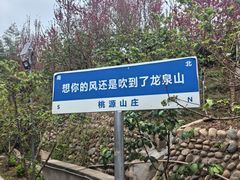 -桃源山庄·水蜜桃采摘·柴火鸡·烧烤团建(龙泉山店)