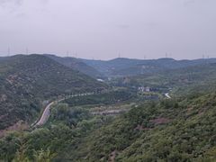 -五龙城郊森林公园