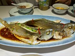 -33号大院·青岛本帮菜(五四广场店)