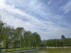 -杨柳青庄园