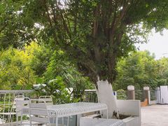 -ADO KAFE(大学城店)