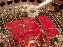 -300杯·和牛烧肉清酒专门店(廊里店)