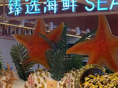 -九寸花汀(摩天活力城店)