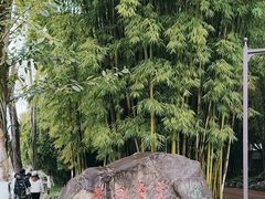 -北湖公园