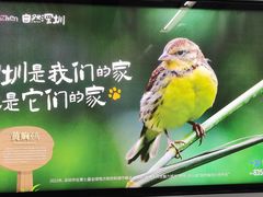 -太安(地铁站)