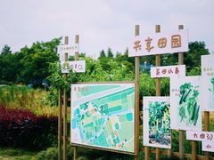 -田园东方蜜桃村的田野营地