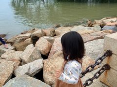 -宝安西湾红树林湿地公园