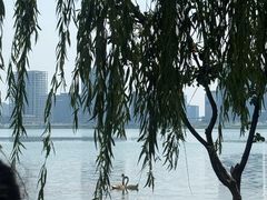 -郑州植物园