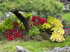 -杭州西湖柳莺里酒店·闻莺厅