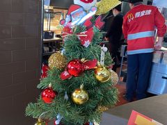 -麦当劳(新新大道岗丰店)