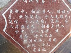 -广西壮族自治区药用植物园