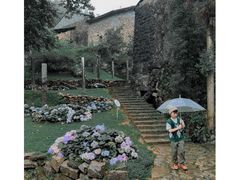 -MOJ coffee(瓯海泽雅水碓坑店)