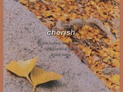 -上海佘山国家森林公园天马山园