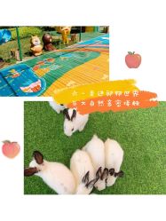 -萌宠亲子动物乐园(槐房万达店)