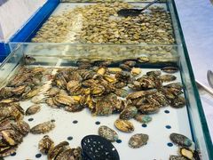 -川骄海鲜自助(河东店)