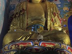 -峨眉山报国寺