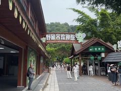 -野象谷景区