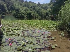 -天目湖山水园
