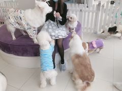 -怪兽屋·羊驼·猫咖·狗咖(俊华广场店)