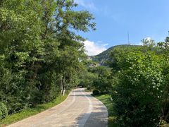 -佛慧山