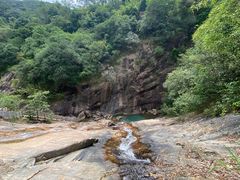 -广州白江湖森林公园