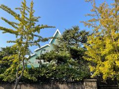 -八大关景区