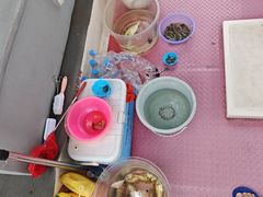 -小猫钓鱼海钓俱乐部(椰梦长廊店)