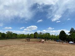 -北京西山国家森林公园