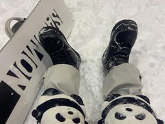 -绍兴启迪乔波冰雪世界